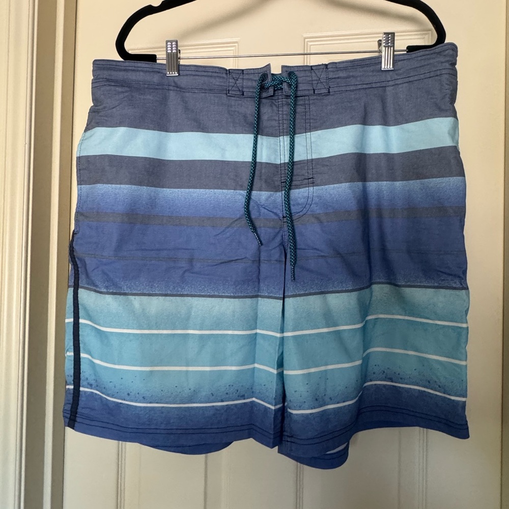 Men's Blue Striped Swim Shorts